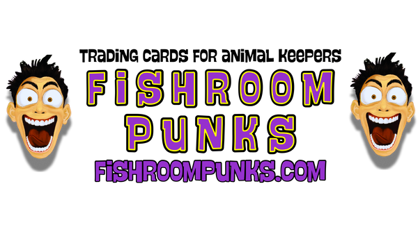 Fishroom Punks