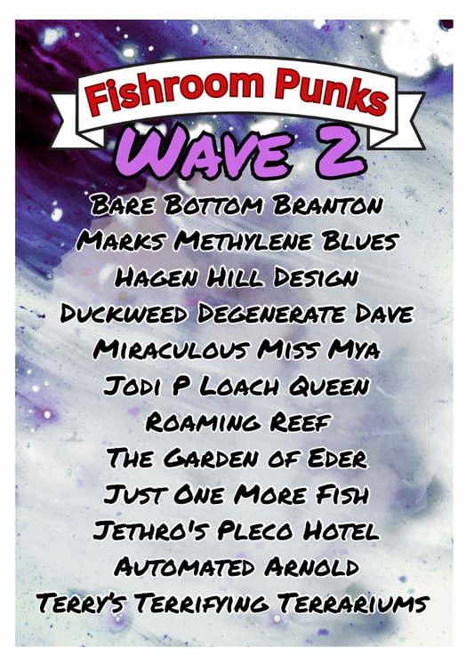 Checklist Wave 2